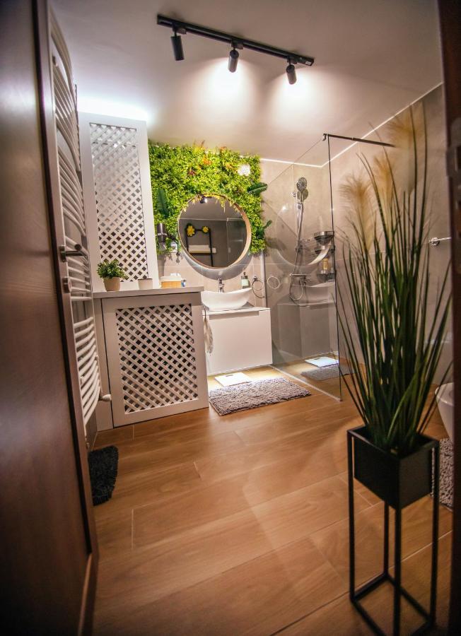 Royal Luxury Apartment Versec Kültér fotó